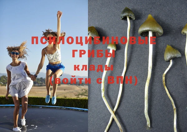 бошки Алексеевка