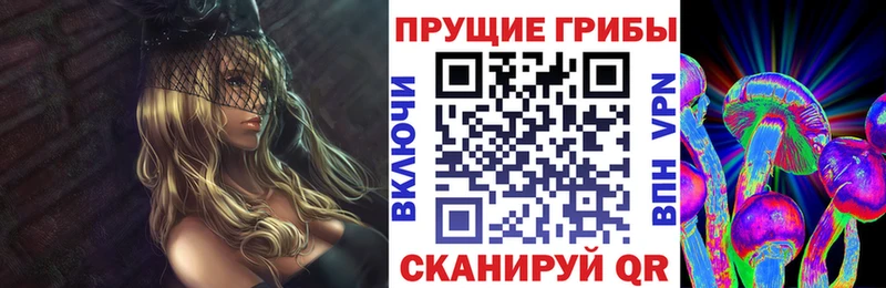 наркотики Клин Псилоцибиновые грибы GOLDEN TEACHER