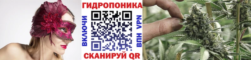 Шишки марихуана Bruce Banner  Клин 